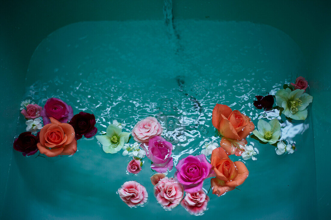 Vintage Blooms cut flowers floating in a turquiose bath