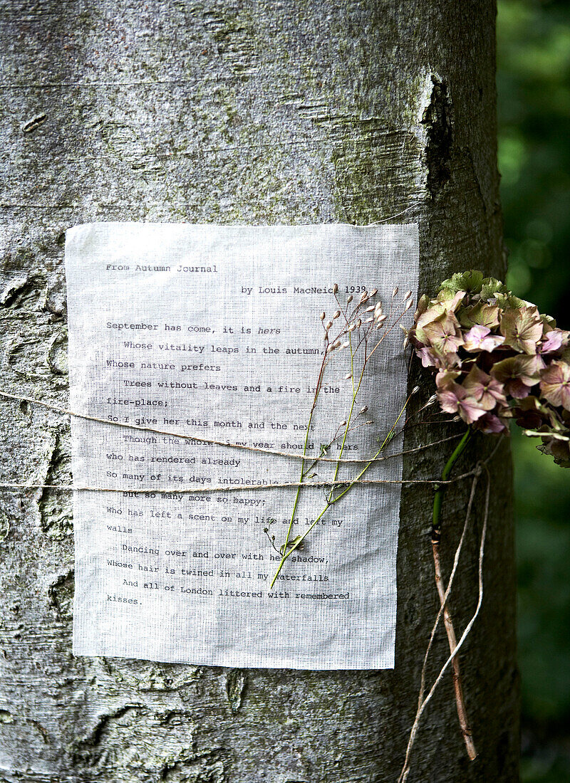 Dried flowers and typewritten letter tied with string to treetrunk in Isle of Wight, UK