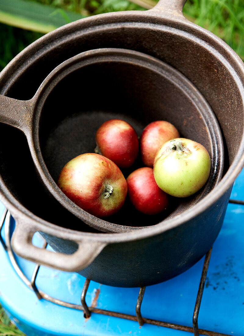 Windfall apples in saucepans on gas stove Isle of Wight, UK