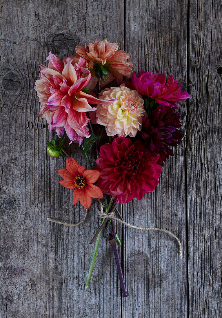 Assorted Dahlias on a wooden bench