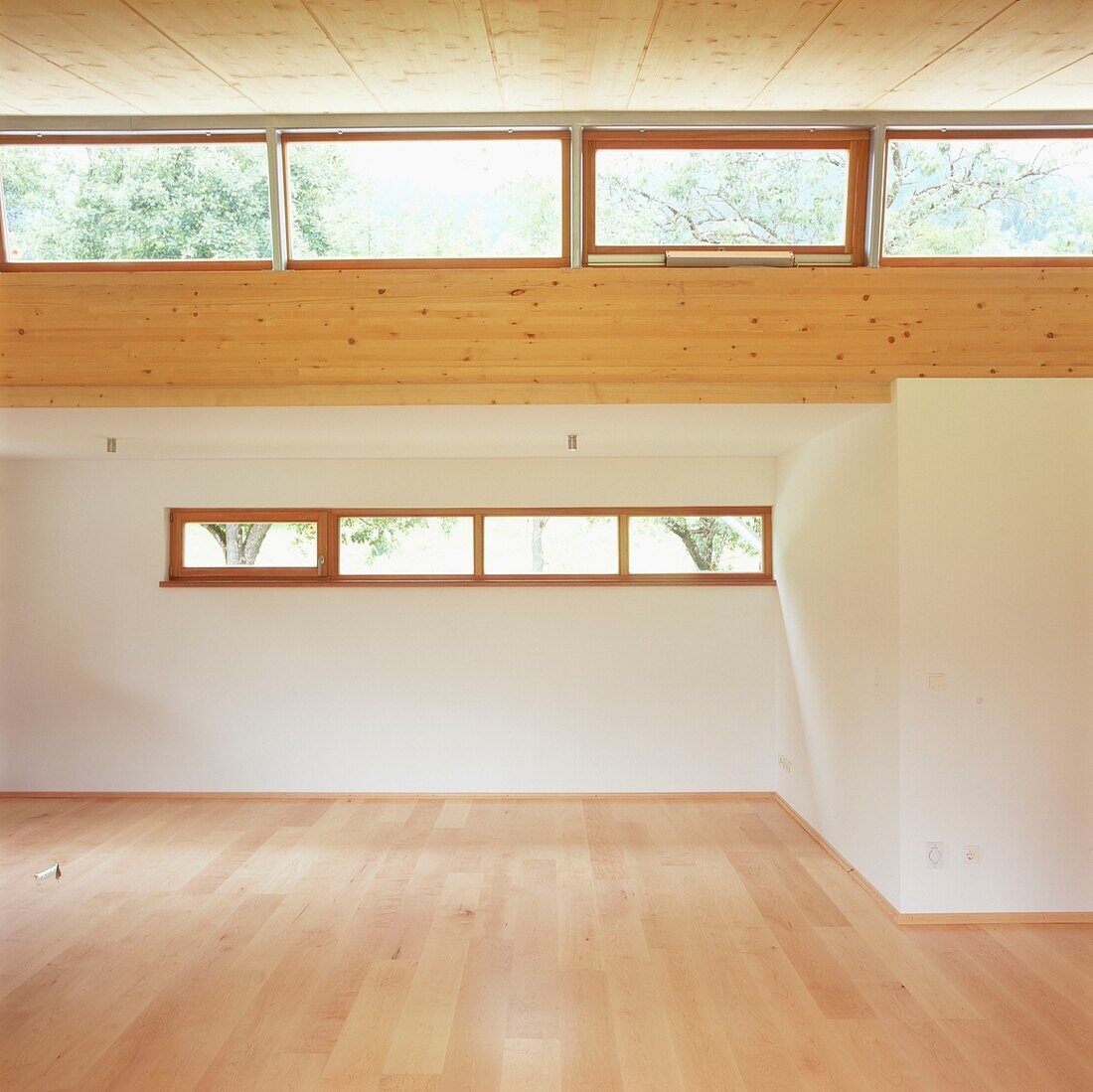 Large contemporary empty room with windows wood floor and painted white walls