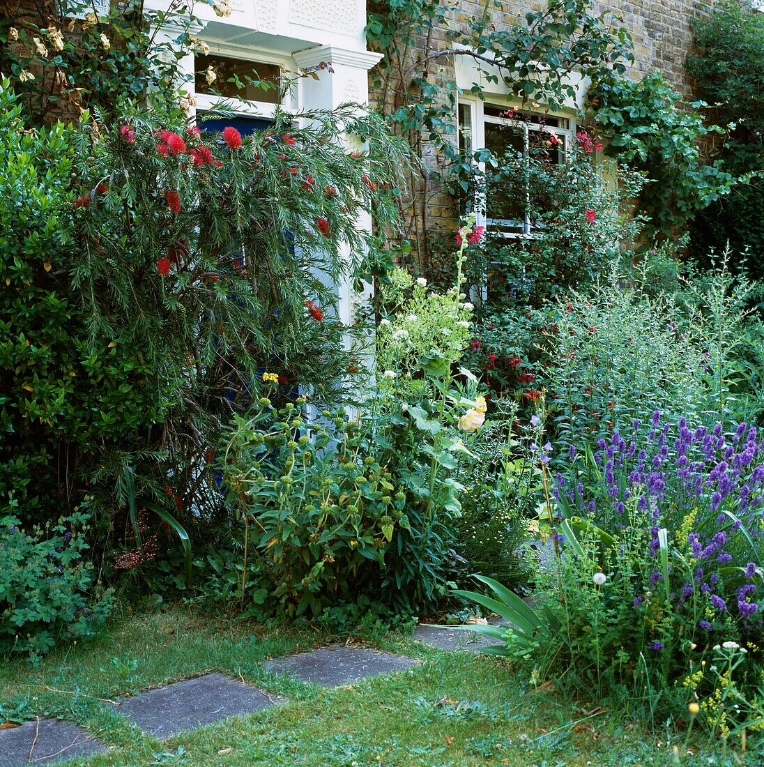 Front Garden of London home in Spring with colourful flowers London