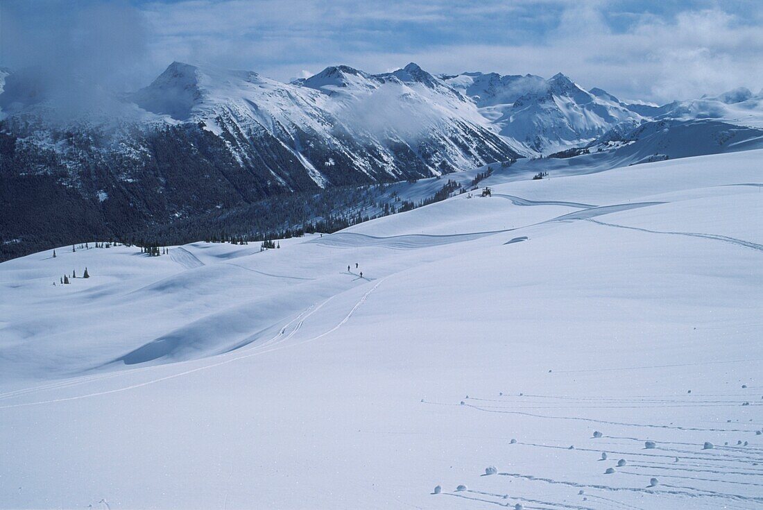 Snowy landscapes in the Whistler resort Canada