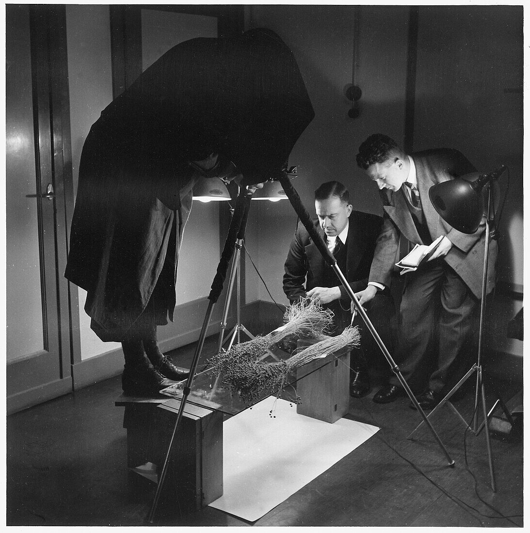 Professor and students photographing plant roots