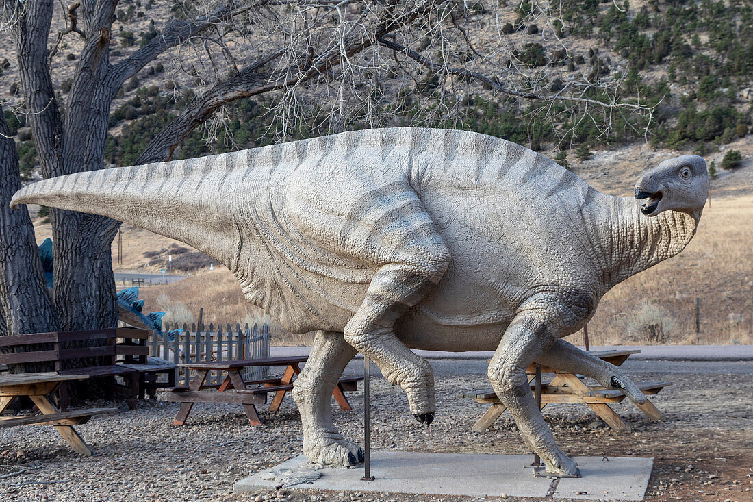 Life-sized model of an iguanodon, Dinosaur Ridge, USA