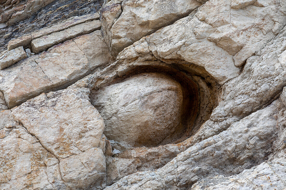 Concretion of sand and iron on Dinosaur Ridge, Colorado, USA