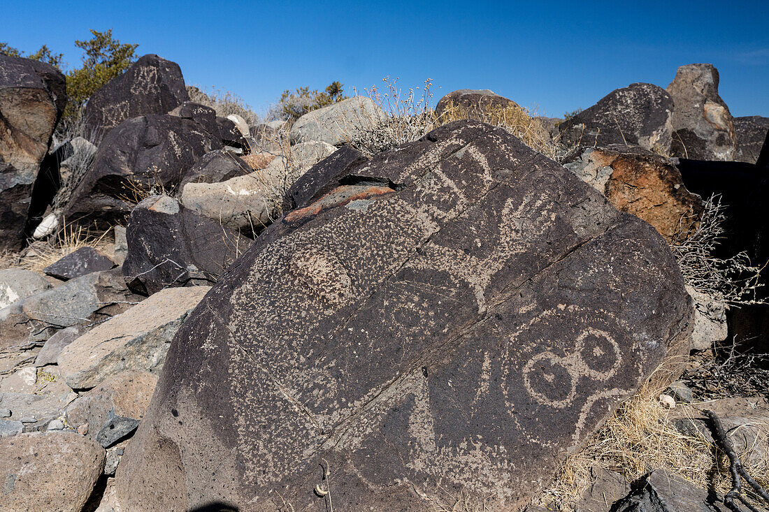 Petroglyph at the Three Rivers Petroglyph Site, USA