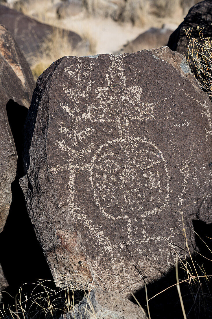 Petroglyph depicting a face, New Mexico, USA