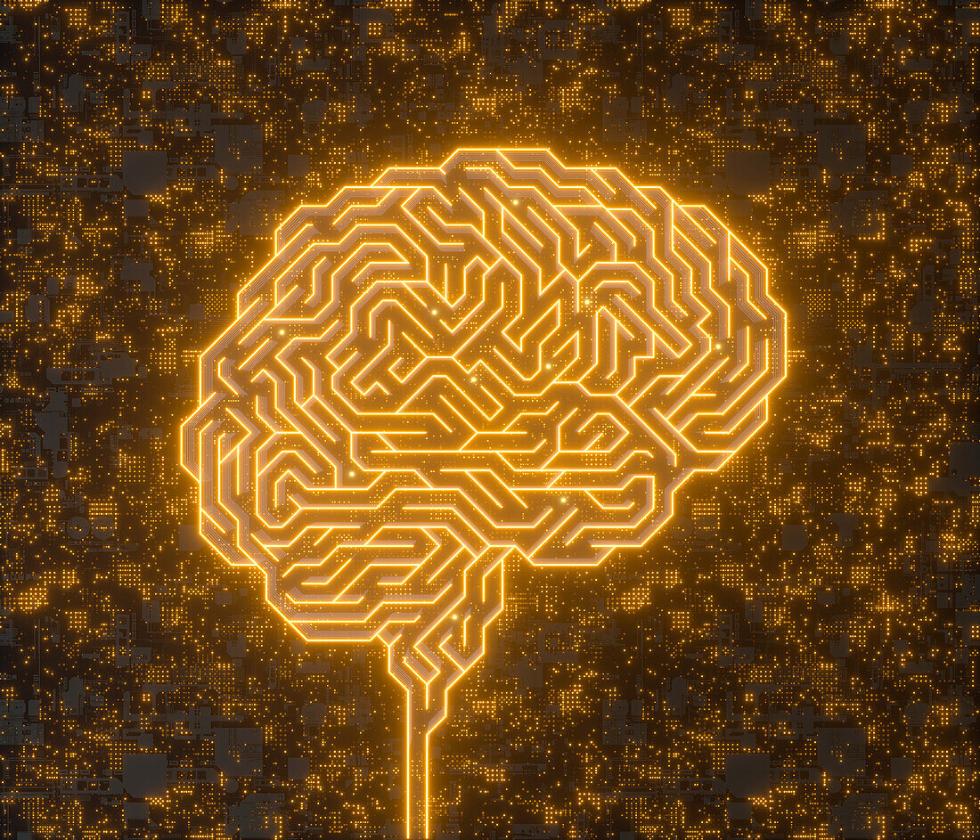 Human brain, conceptual illustration