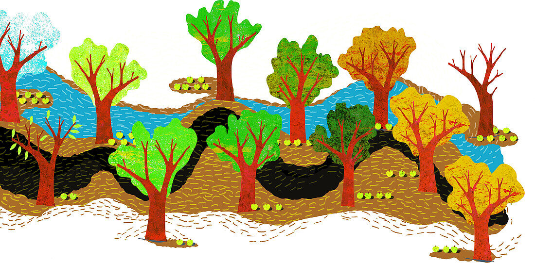 Brook in a fruit grove, illustration