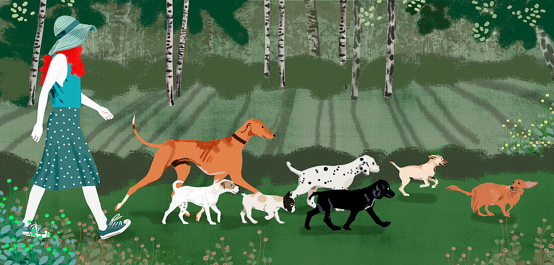 Woman walking with dogs in a forest, illustration