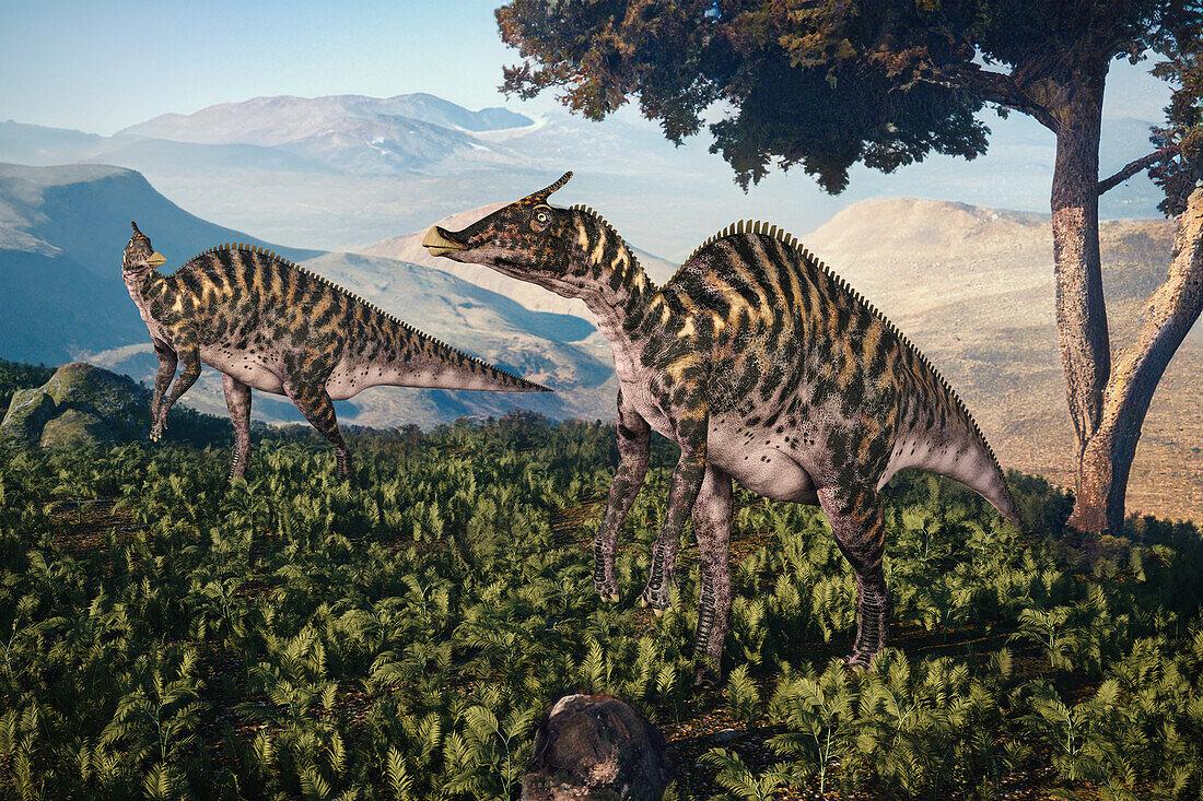 Parasaurolophus dinosaurs, illustration