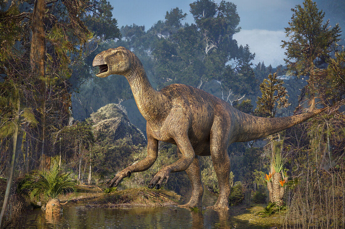 Iguanodon dinosaur, illustration