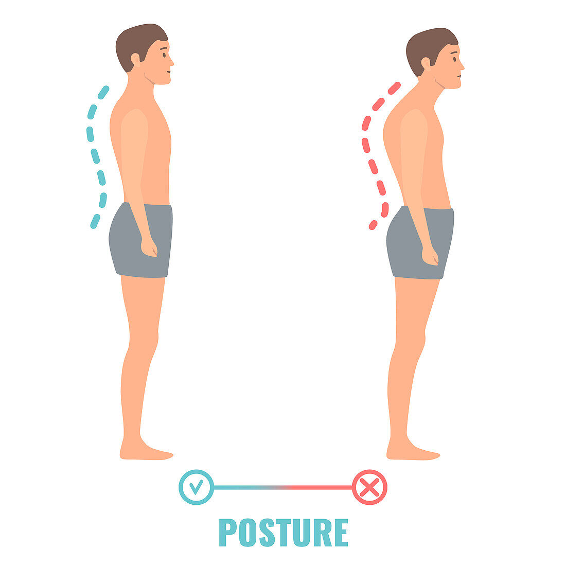 Good and bad posture, conceptual illustration