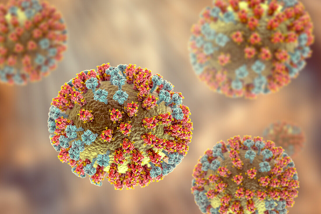 Flu virus, illustration