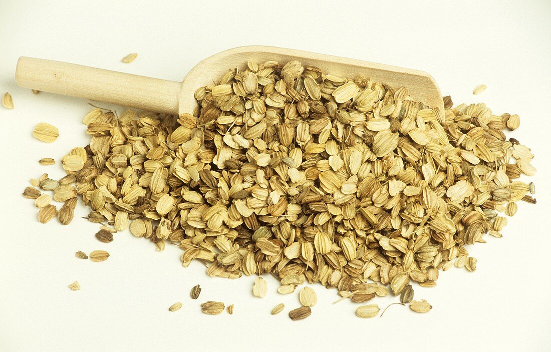 A heap of angelica seeds with wooden scoop