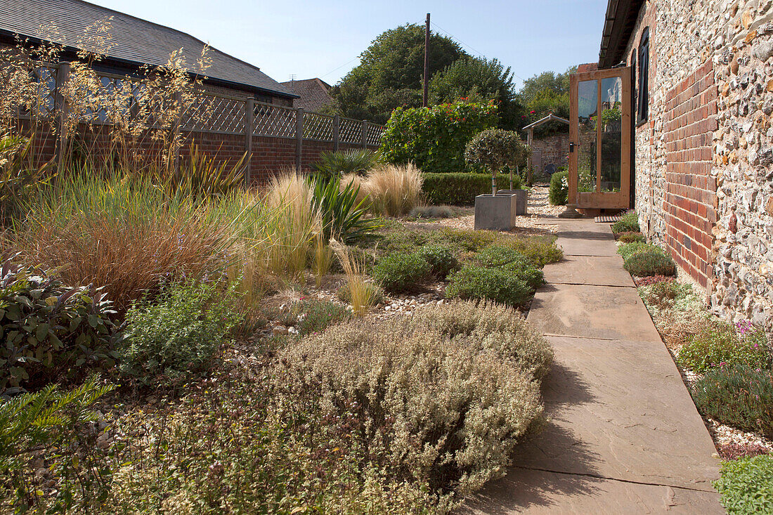 Sunny garden, path made of concrete slabs