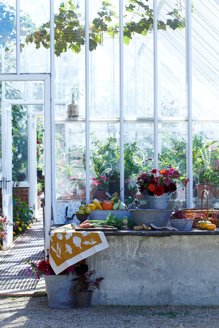 Vegetables and flowers on a concrete table in front of the greenhouse