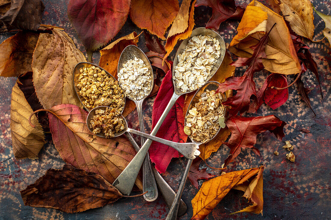 Vintage spoon with cereals on autumn leaves