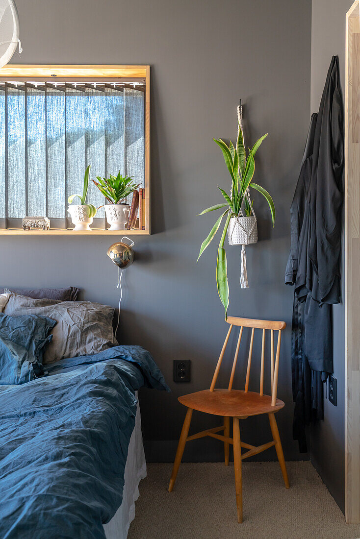 Bedroom in grey with blue bed linen and hanging plant