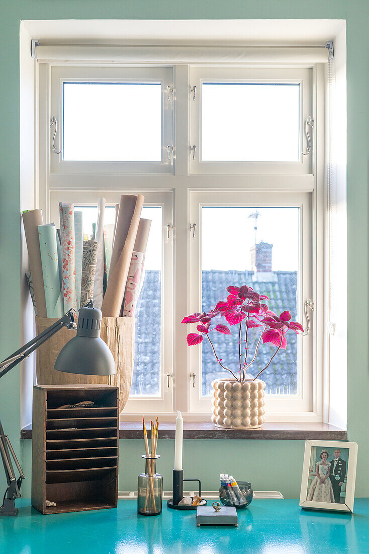 Workplace by the window, rolls of wrapping paper and plant