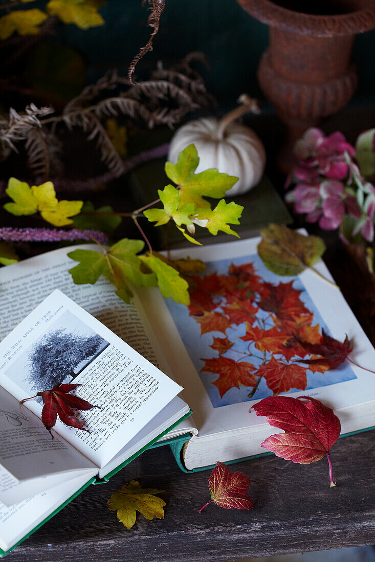 Herbstlaub auf aufgeschlagenem Buch neben weißem Kürbis