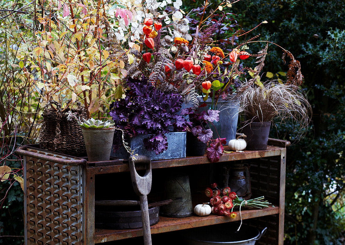 Herbstdeko mit Blumen, Pflanzen und Gräsern auf Outdoor-Regal