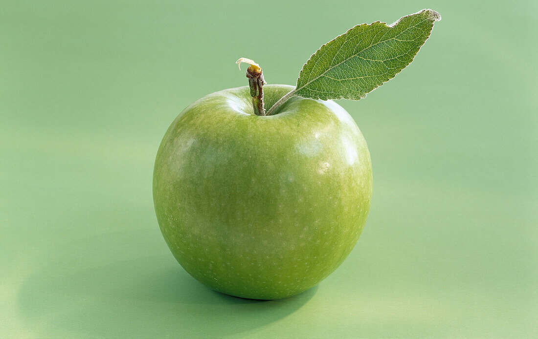 A green apple with a leaf, on a light green background