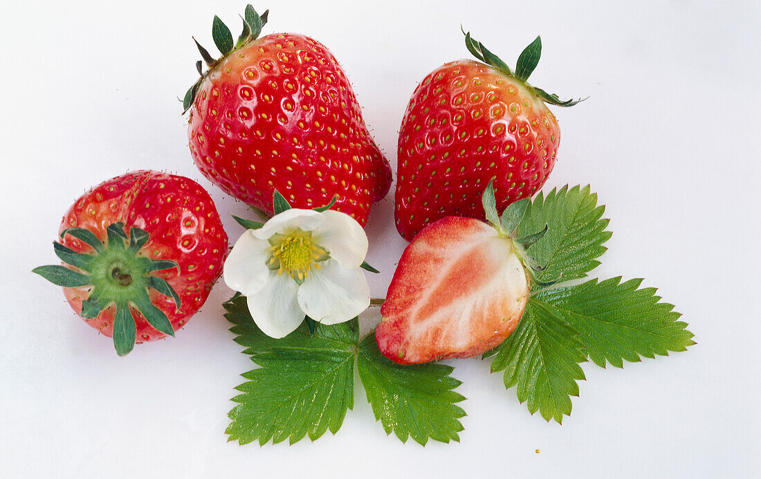 Drei Erdbeeren, eine Erdbeerhälfte und Erdbeerblüte