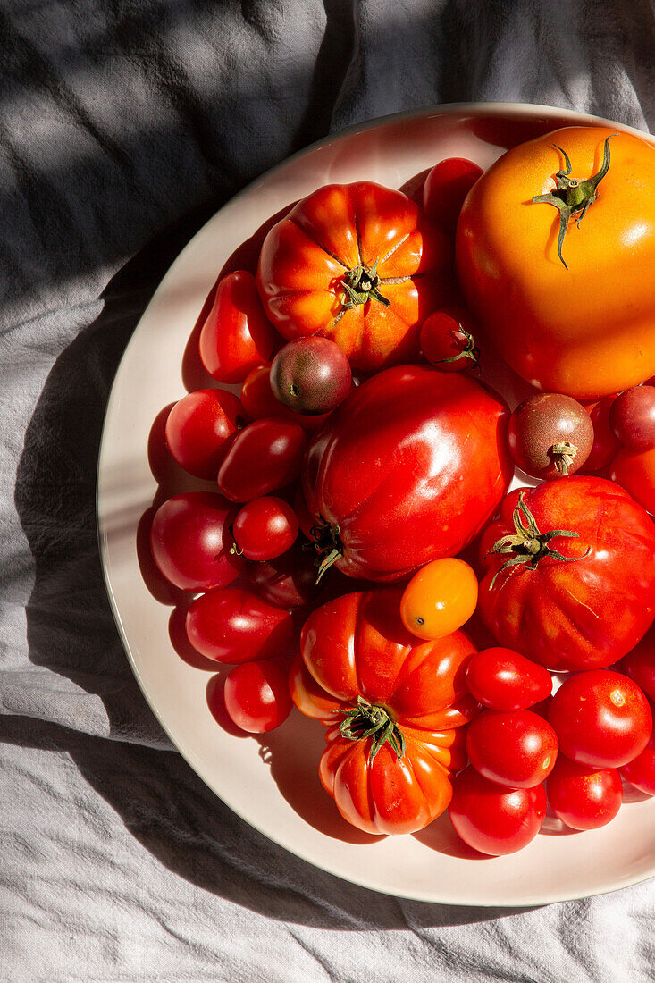 Verschiedene Tomatensorten auf Teller