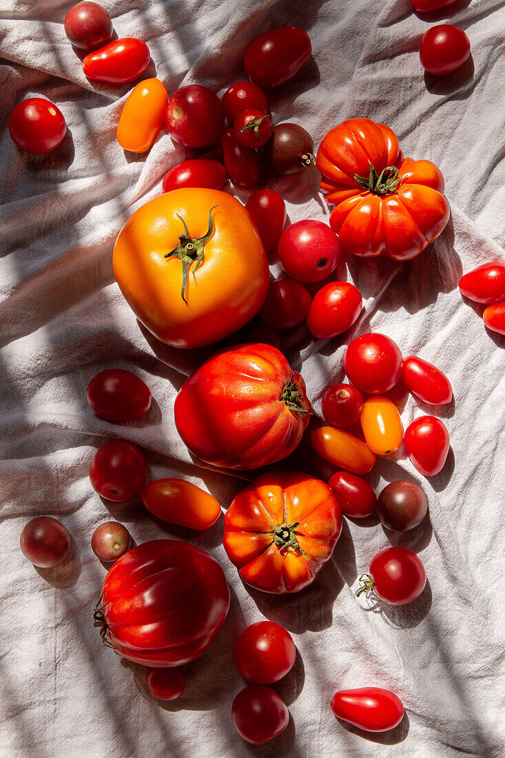 Verschiedene Tomatensorten auf weißem Leinentuch