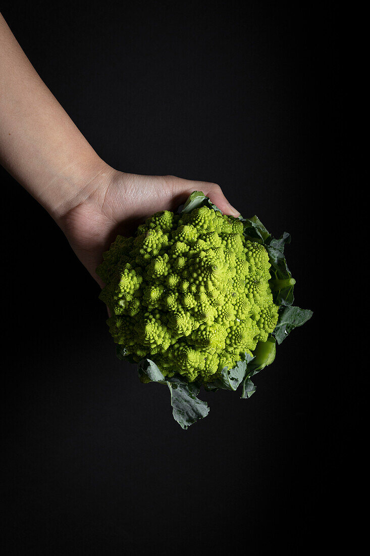 Hand hält Romanesco vor schwarzem Hintergrund