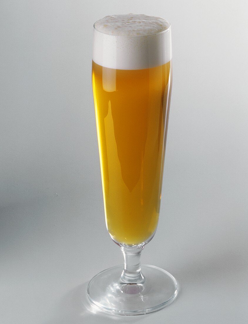 Beer in a Pilsner Glass