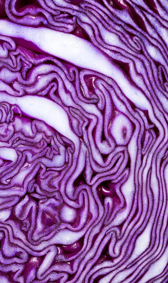 Macro view of red cabbage sliced leaves texture