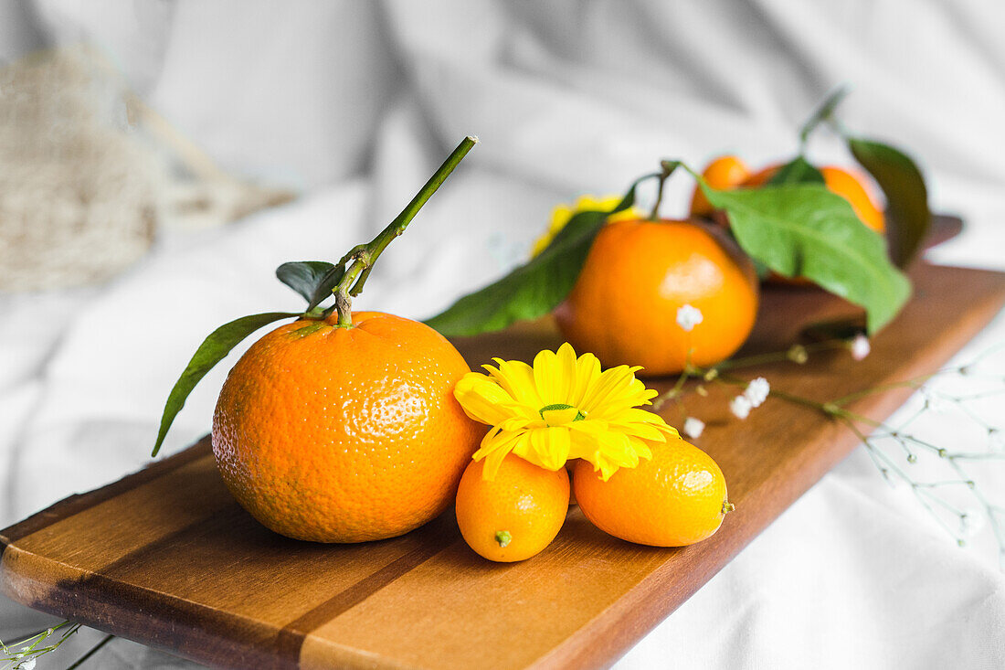 Ripe tangerines with cumquats and blooming yellow Chrysanthemums on chopping board