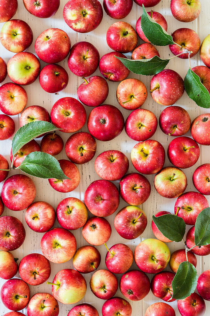 Rote Äpfel mit Blättern (bildfüllend)