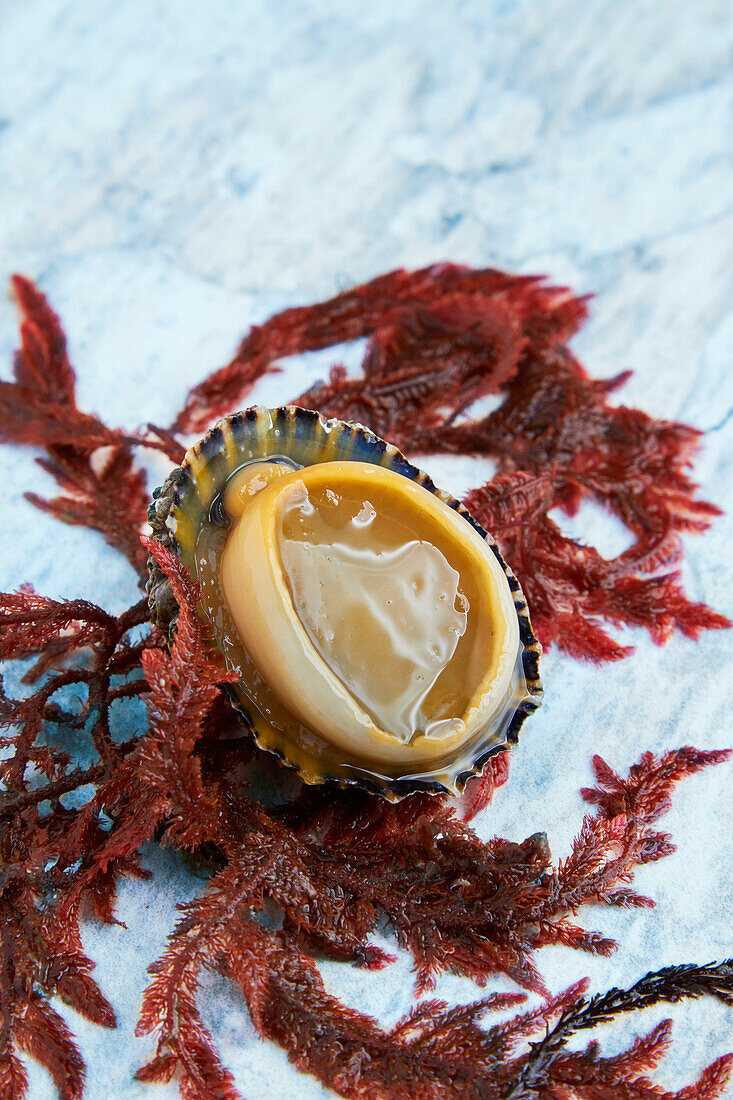 A raw limpet