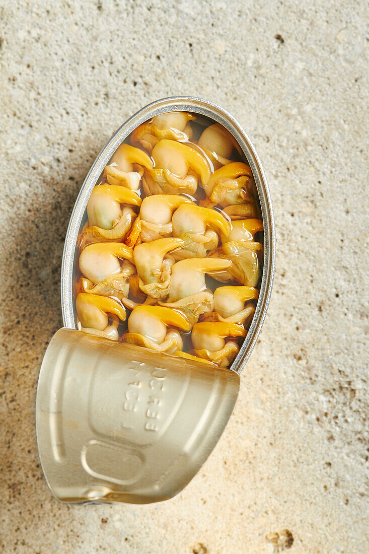 Cockles in an opened tin can