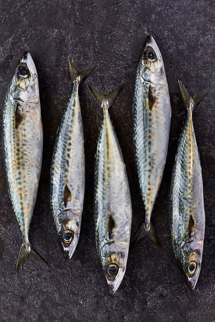 Five mackerel on a dark surface