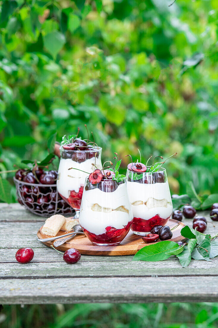 Cherry tiramisu