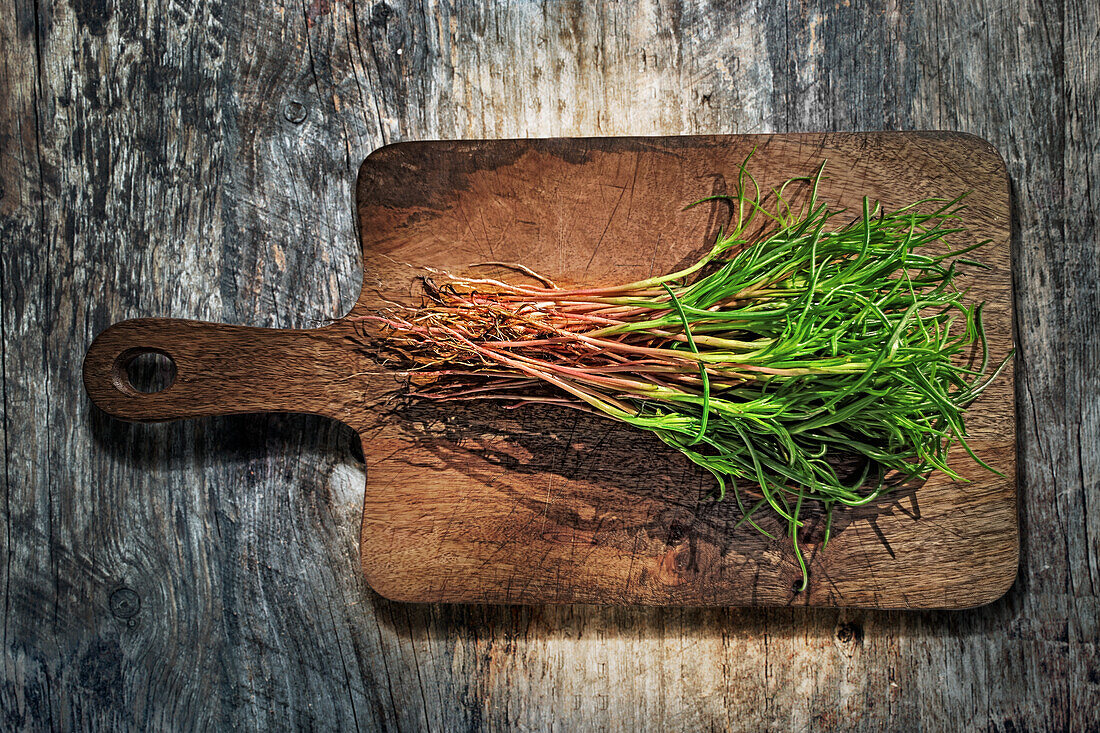 Mönchsbart (bot. Salsola soda) auf Holzbrett