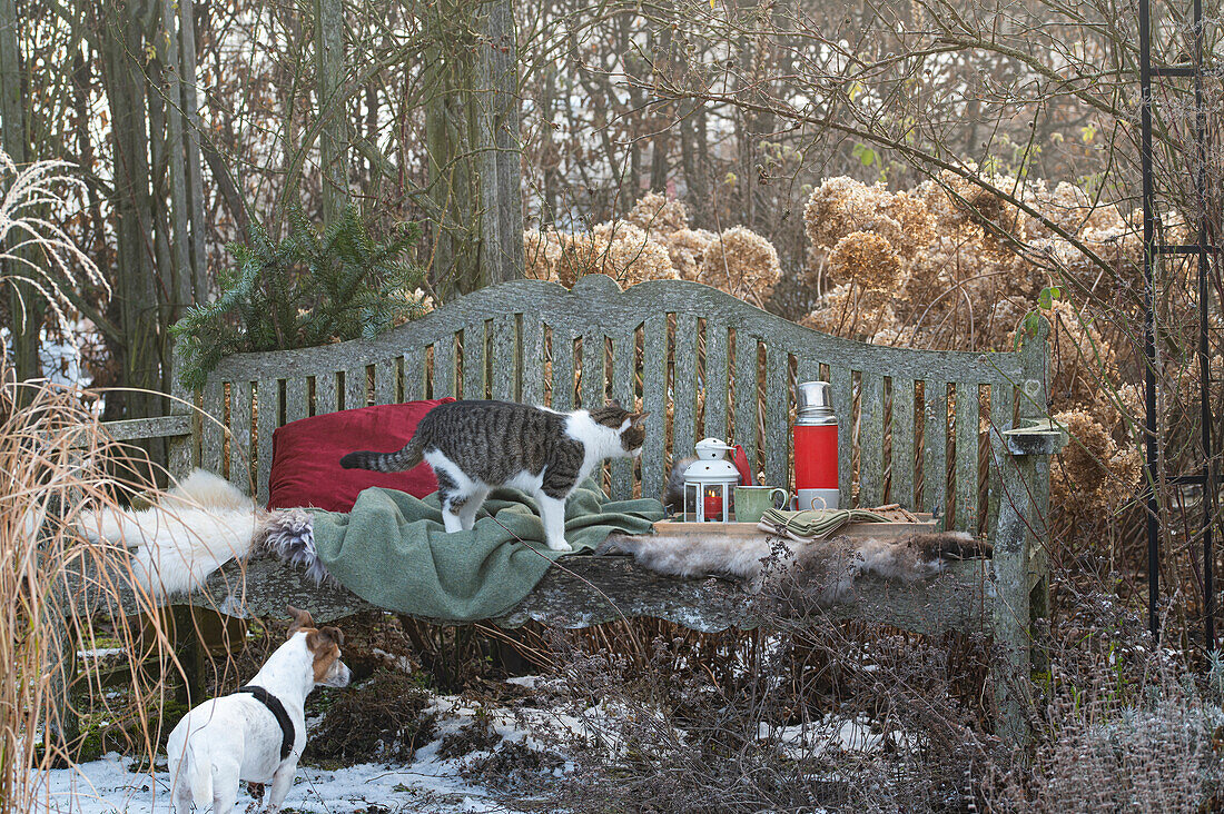 Gartenbank mit Fell, Kissen, Weihnachtsdekoration, Katze und Hund im Vordergrund