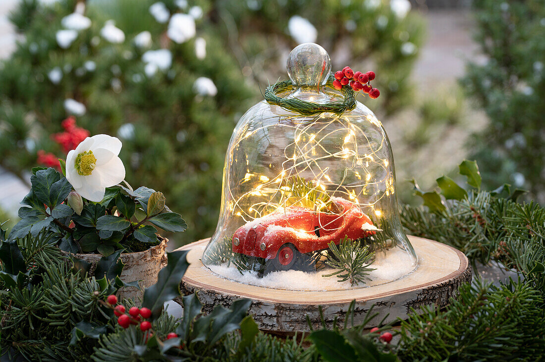 Toy car with fairy lights under glass bell jar and garland of fir branch and holly 'Blue Princess