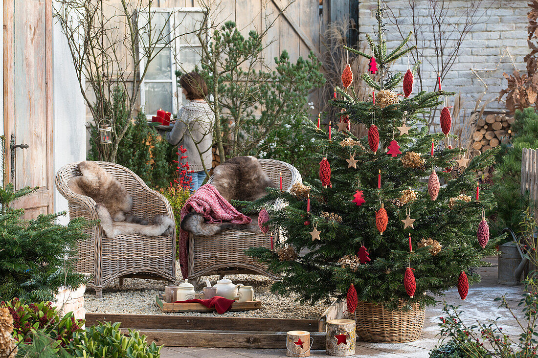 Nordmann fir decorated with twine rolls and dried hydrangea blossoms in front of a seating area on the terrace