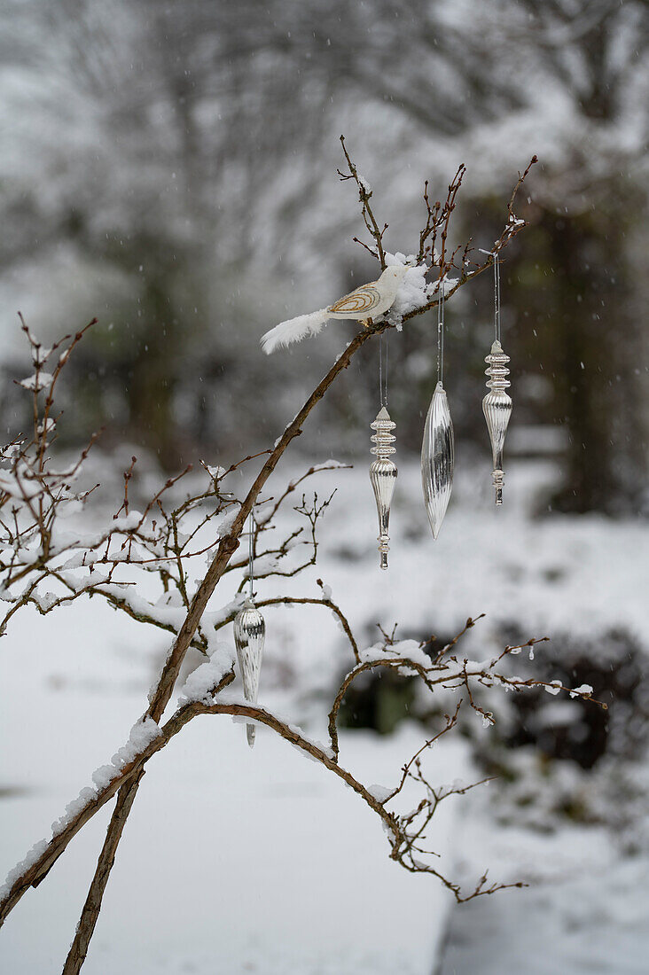 Christmas tree decorations on a branch