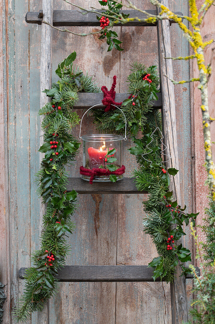 Weihnachtlich dekorierte Holzleiter mit Girlande aus Ilex 'Blue Princess', Tannenzweigen (Abies) und Windlicht