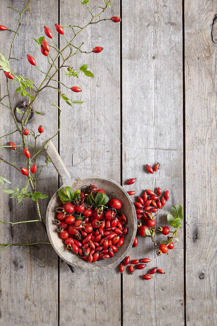 Rosehips in a wooden bowl on a wooden background