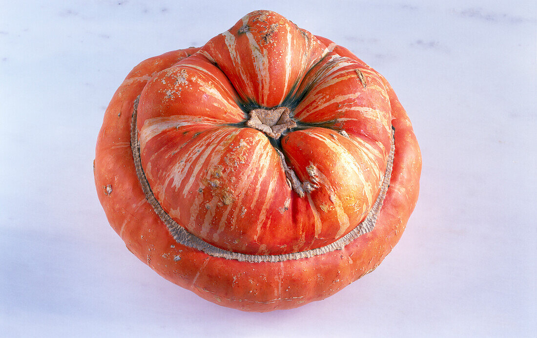 One pumpkin (variety: Bishop's cap)