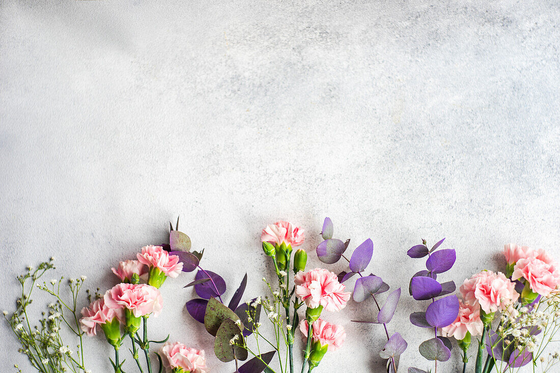 Spring bouquet with pink cloves on concrete background