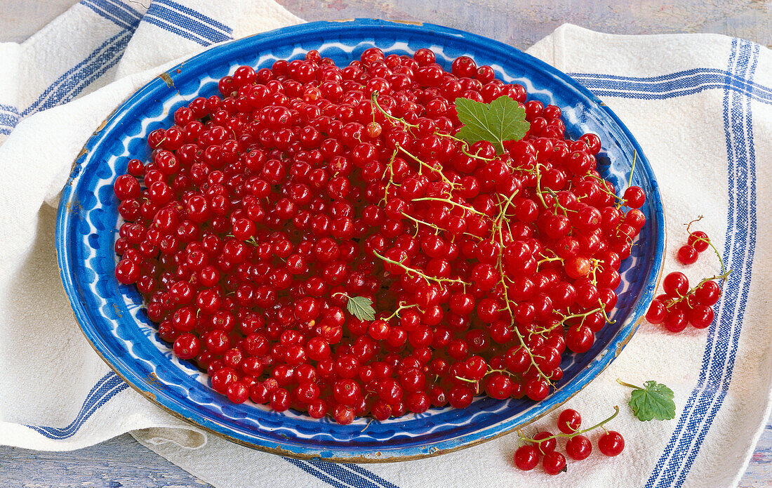 Plate with red currants
